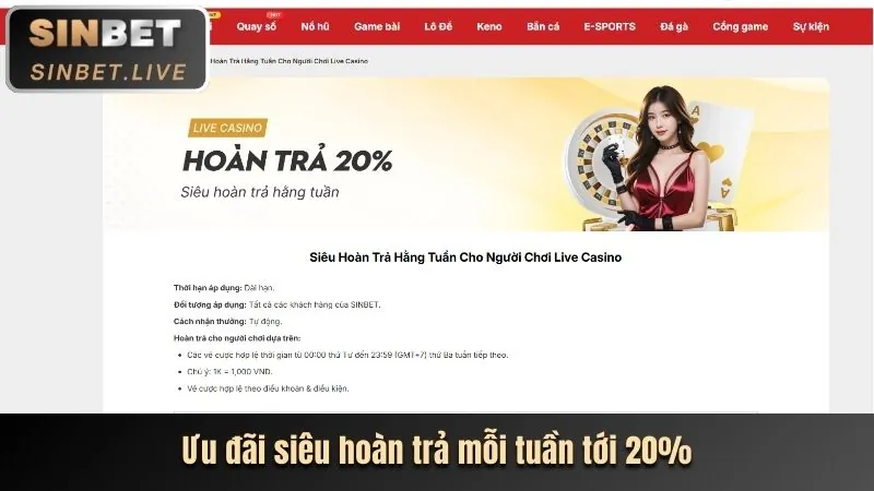 Hoàn trả cược đá gà hàng ngày